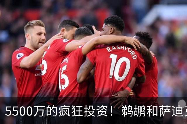 5500万的疯狂投资！鹈鹕和萨迪克·贝的缘分值得一探究竟